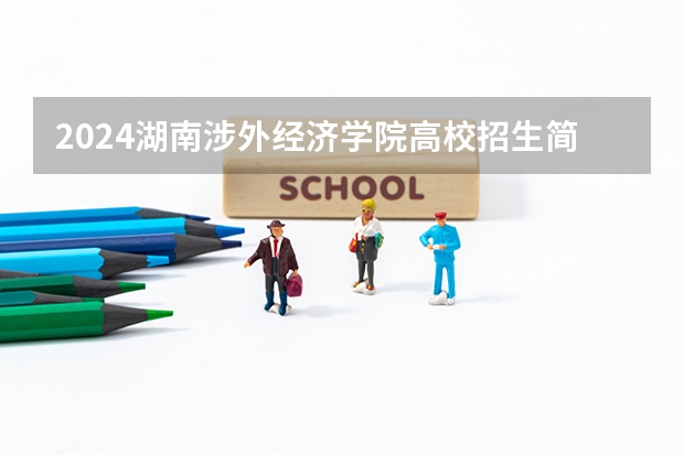 2024湖南涉外经济学院高校招生简章