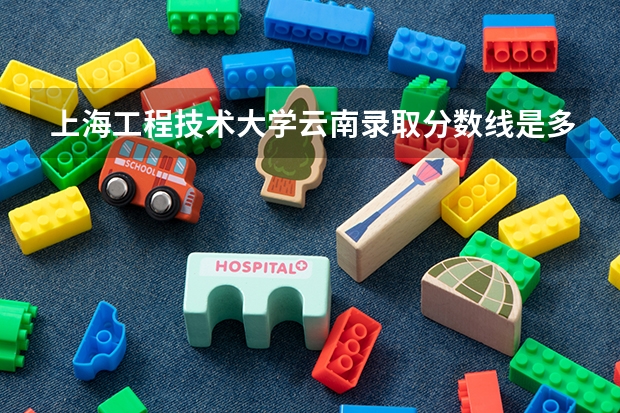 上海工程技术大学云南录取分数线是多少(近三年招生人数一览)