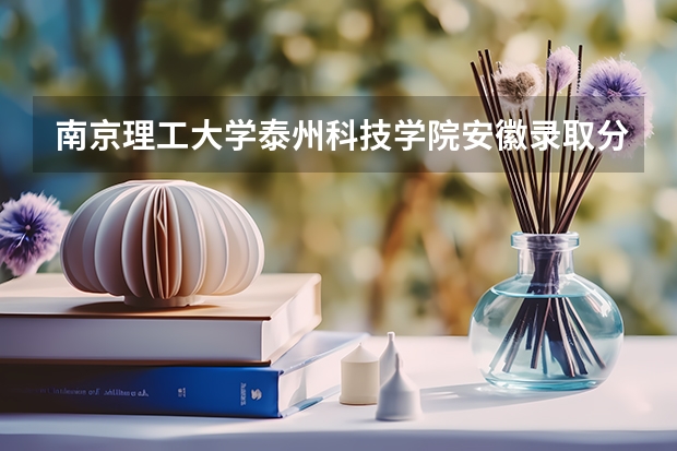 南京理工大学泰州科技学院安徽录取分数线是多少(近三年招生人数一览)