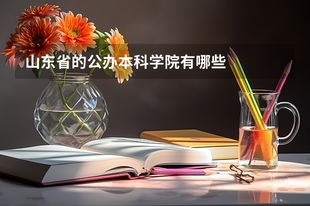 山东省的公办本科学院有哪些