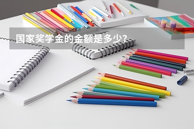 国家奖学金的金额是多少？