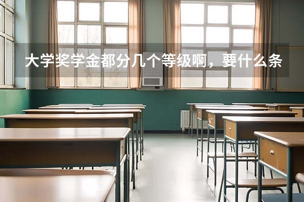 大学奖学金都分几个等级啊，要什么条件