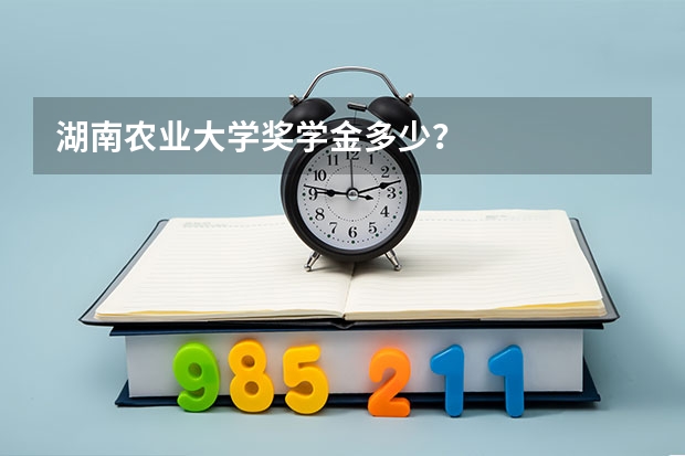 湖南农业大学奖学金多少？
