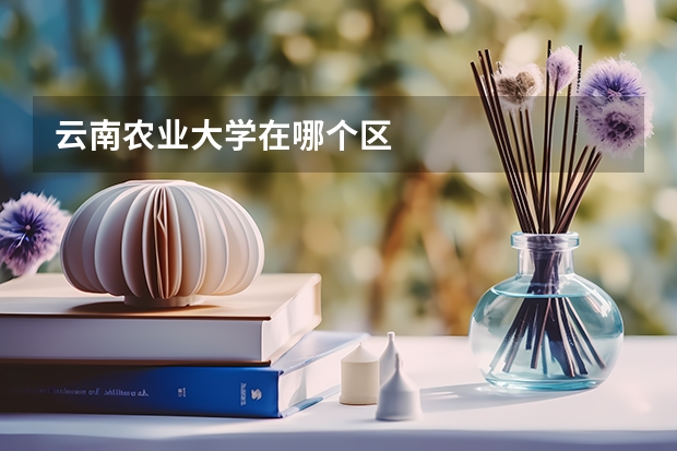 云南农业大学在哪个区