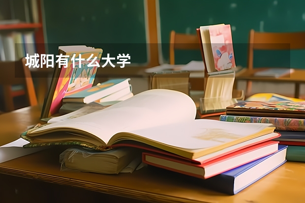 城阳有什么大学