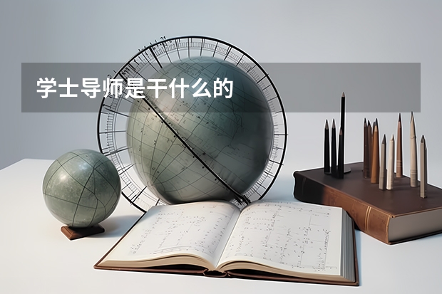 学士导师是干什么的