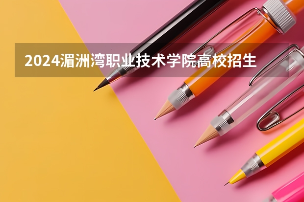 2024湄洲湾职业技术学院高校招生简章