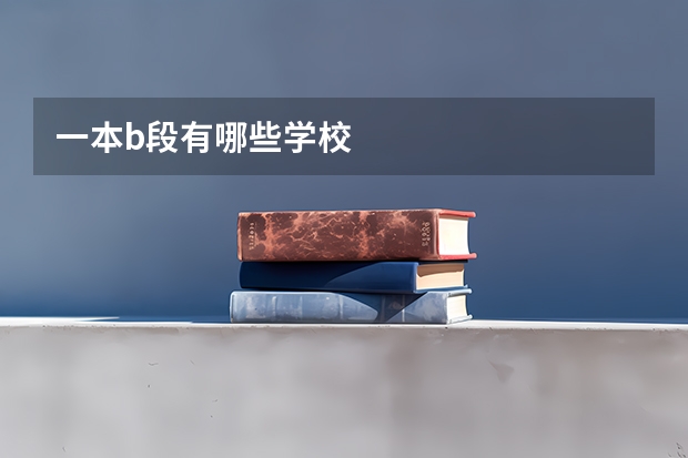 一本b段有哪些学校