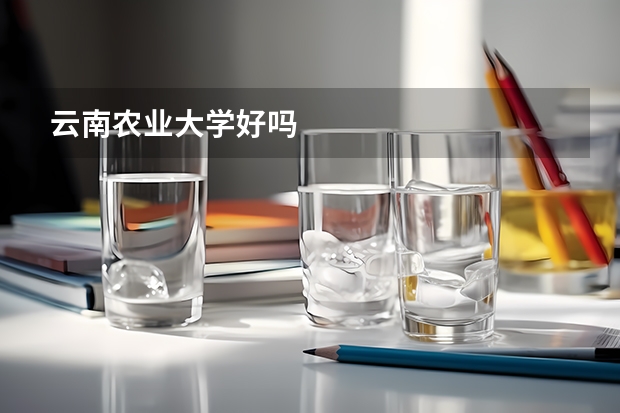 云南农业大学好吗