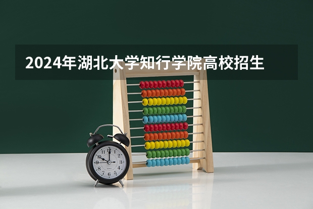 2024年湖北大学知行学院高校招生发布简章