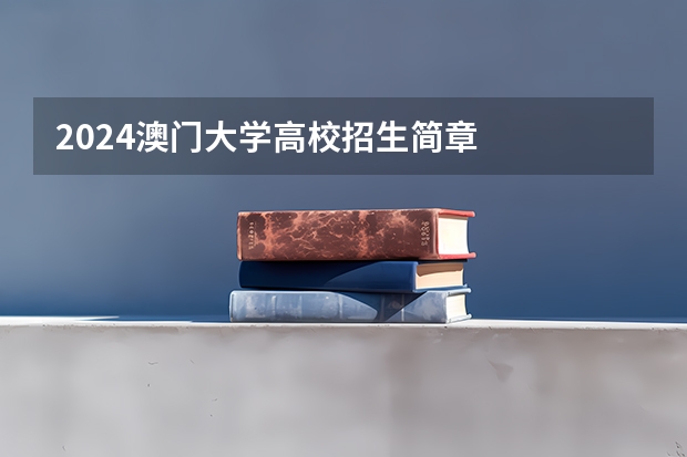2024澳门大学高校招生简章