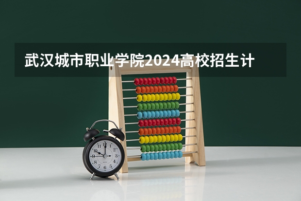 武汉城市职业学院2024高校招生计划公布时间