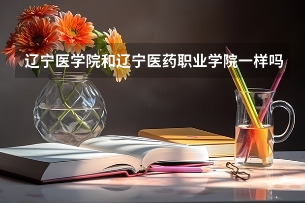 辽宁医学院和辽宁医药职业学院一样吗