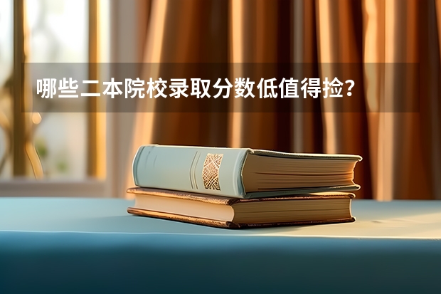哪些二本院校录取分数低值得捡？
