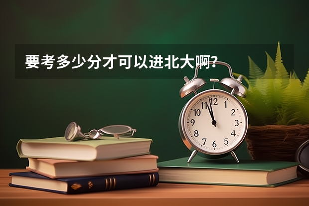 要考多少分才可以进北大啊？