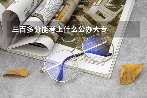 三百多分能考上什么公办大专