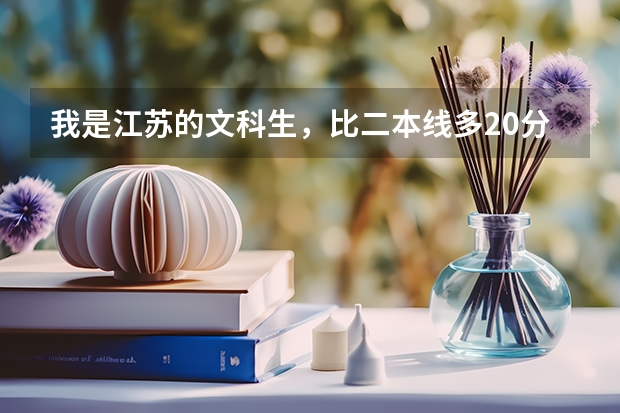 我是江苏的文科生，比二本线多20分，选修bc，能填什么学校？