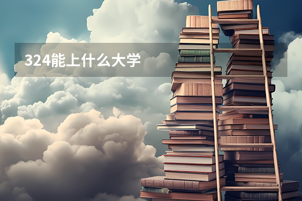 324能上什么大学