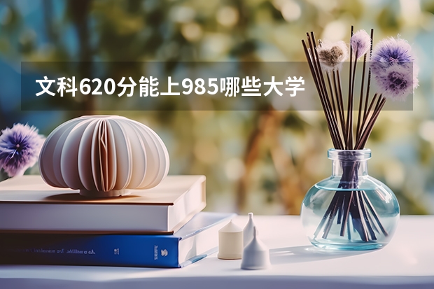 文科620分能上985哪些大学