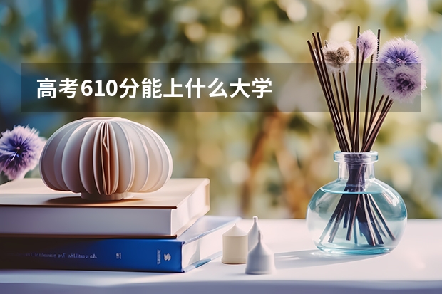 高考610分能上什么大学