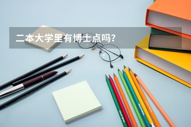 二本大学里有博士点吗？