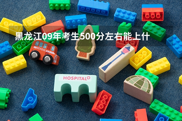 黑龙江09年考生500分左右能上什么大学