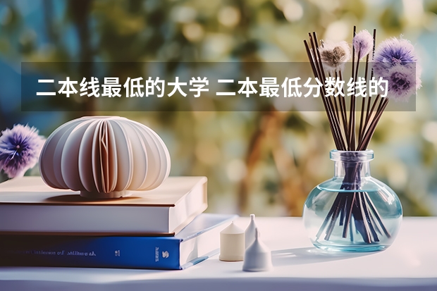 二本线最低的大学 二本最低分数线的大学