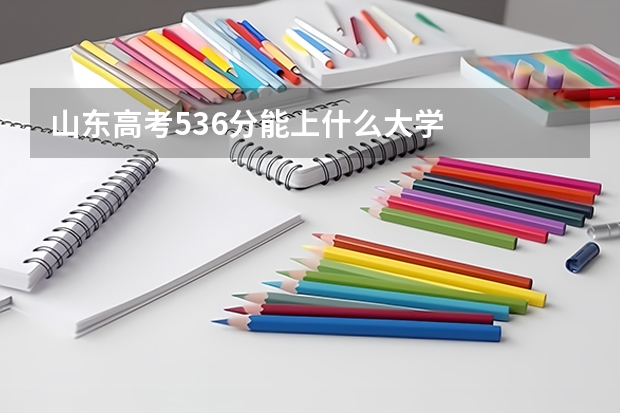 山东高考536分能上什么大学
