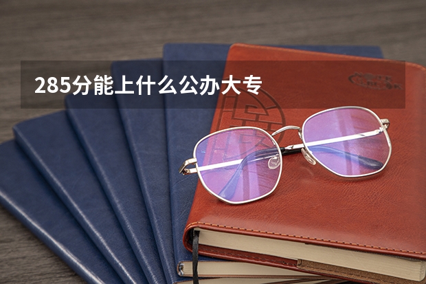 285分能上什么公办大专