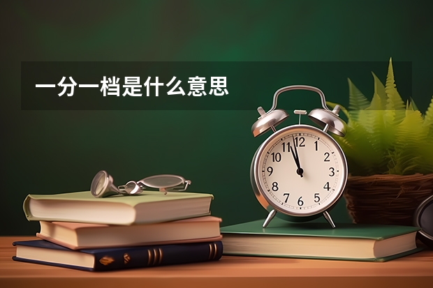 一分一档是什么意思