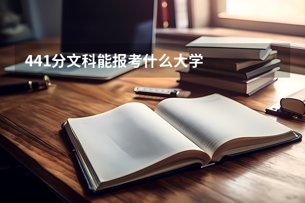 441分文科能报考什么大学
