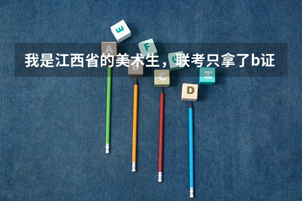 我是江西省的美术生，联考只拿了b证，排名一万多，外省有承认江西省b证的学校吗，有的话文化最低要多少