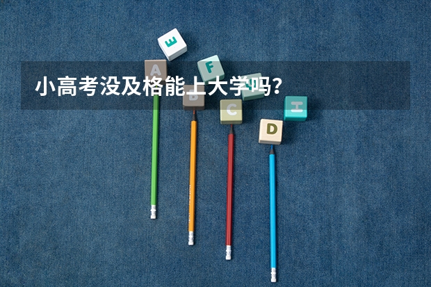 小高考没及格能上大学吗？