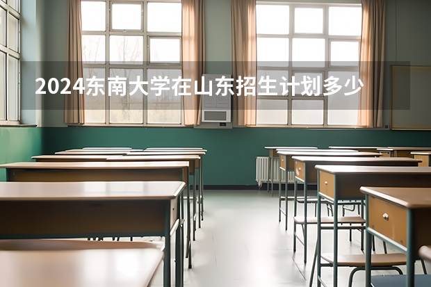 2024东南大学在山东招生计划多少人