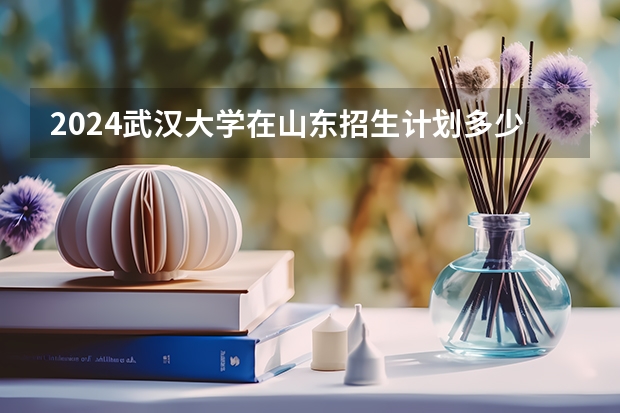 2024武汉大学在山东招生计划多少人