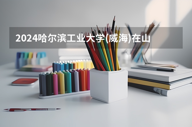 2024哈尔滨工业大学(威海)在山东招生计划多少人