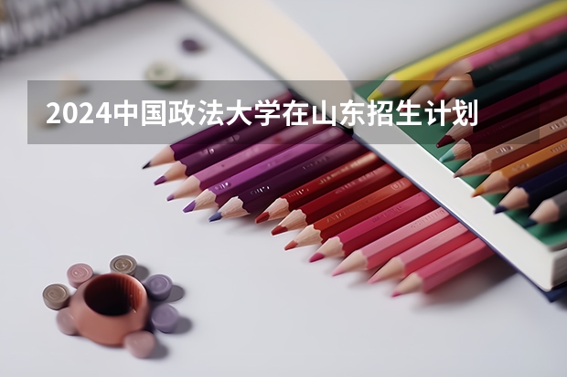 2024中国政法大学在山东招生计划多少人