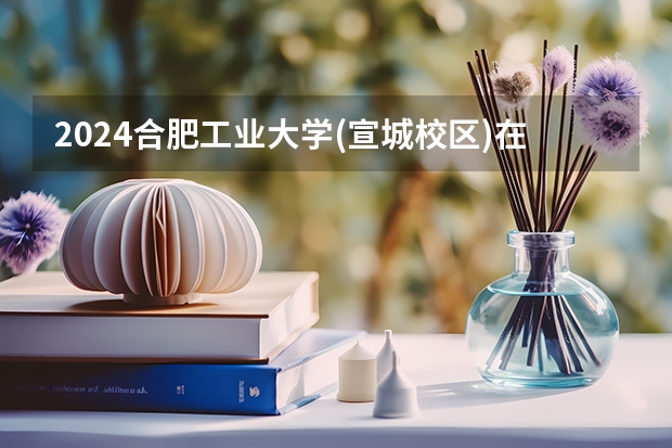 2024合肥工业大学(宣城校区)在山东招生计划多少人