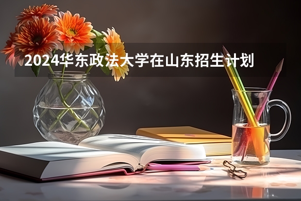 2024华东政法大学在山东招生计划多少人