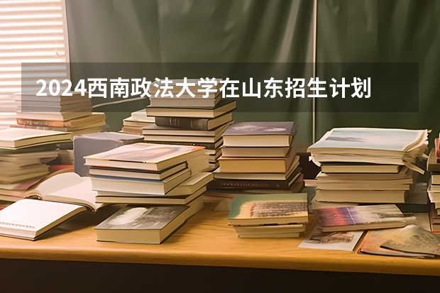 2024西南政法大学在山东招生计划多少人