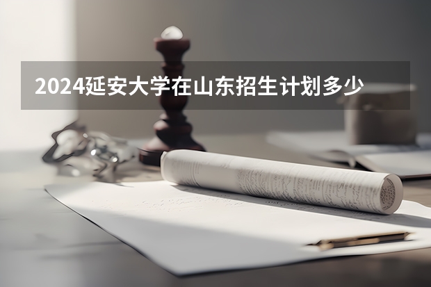 2024延安大学在山东招生计划多少人