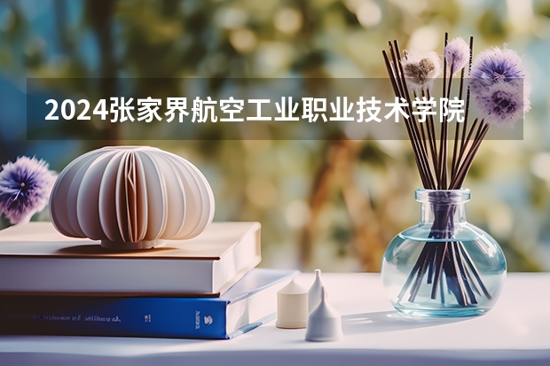 2024张家界航空工业职业技术学院在山东招生计划多少人
