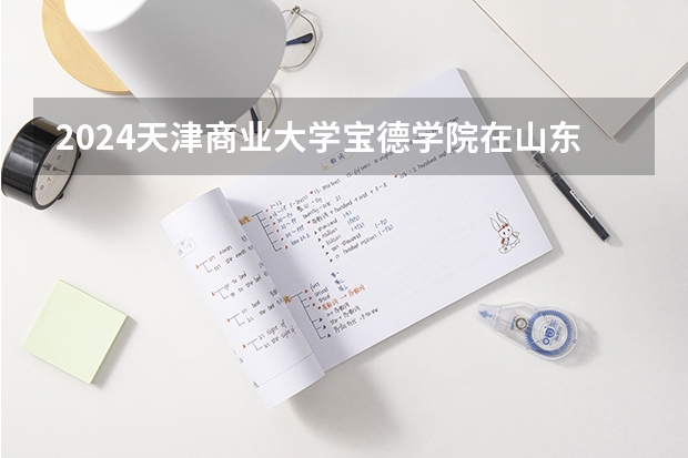 2024天津商业大学宝德学院在山东招生计划多少人