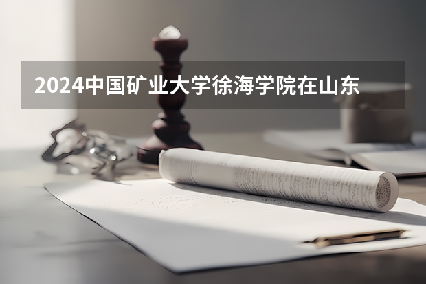 2024中国矿业大学徐海学院在山东招生计划多少人