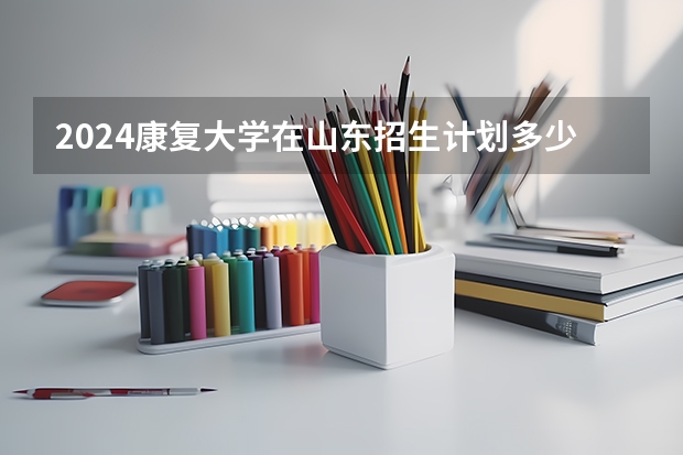 2024康复大学在山东招生计划多少人