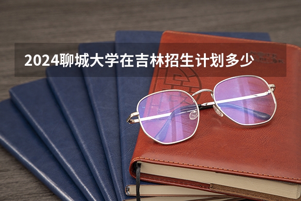 2024聊城大学在吉林招生计划多少人