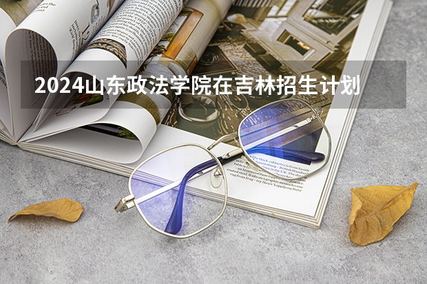 2024山东政法学院在吉林招生计划多少人