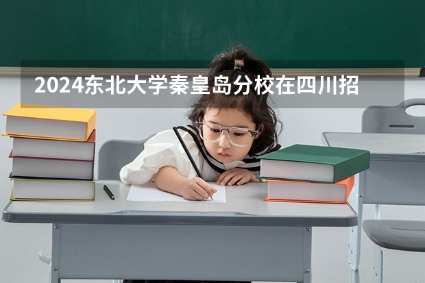 2024东北大学秦皇岛分校在四川招生计划多少人