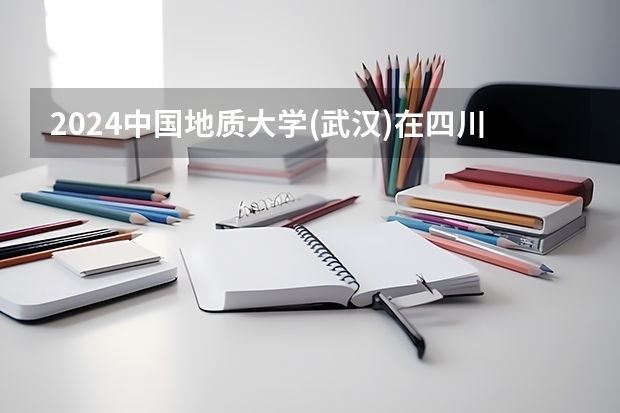2024中国地质大学(武汉)在四川招生计划多少人
