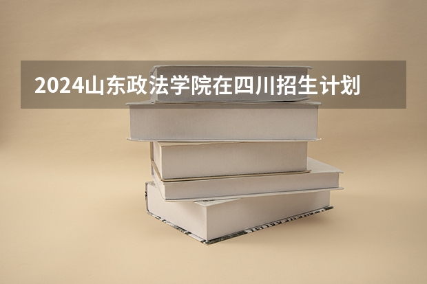 2024山东政法学院在四川招生计划多少人